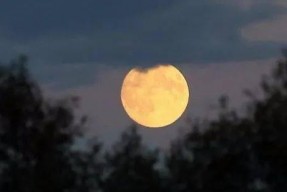 皎皎清月坠我怀,一场心灵的邂逅