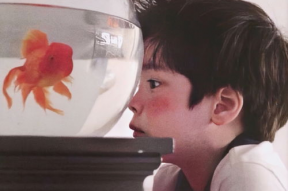 弟弟你的医术好棒,弟弟风采独树一帜