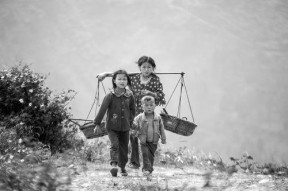 原乡人,寻根溯源，探寻故土记忆的传承与变迁