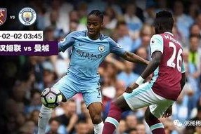 24-25赛季英超第20轮 曼城vs西汉姆联