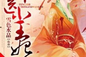 神医帝婿,医术超群，拯救天下苍生